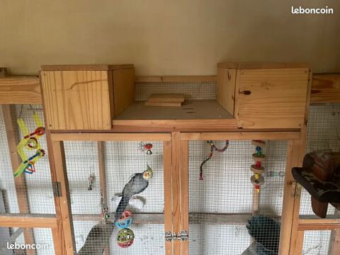 Cage as oiseaux 100 78520 Limay