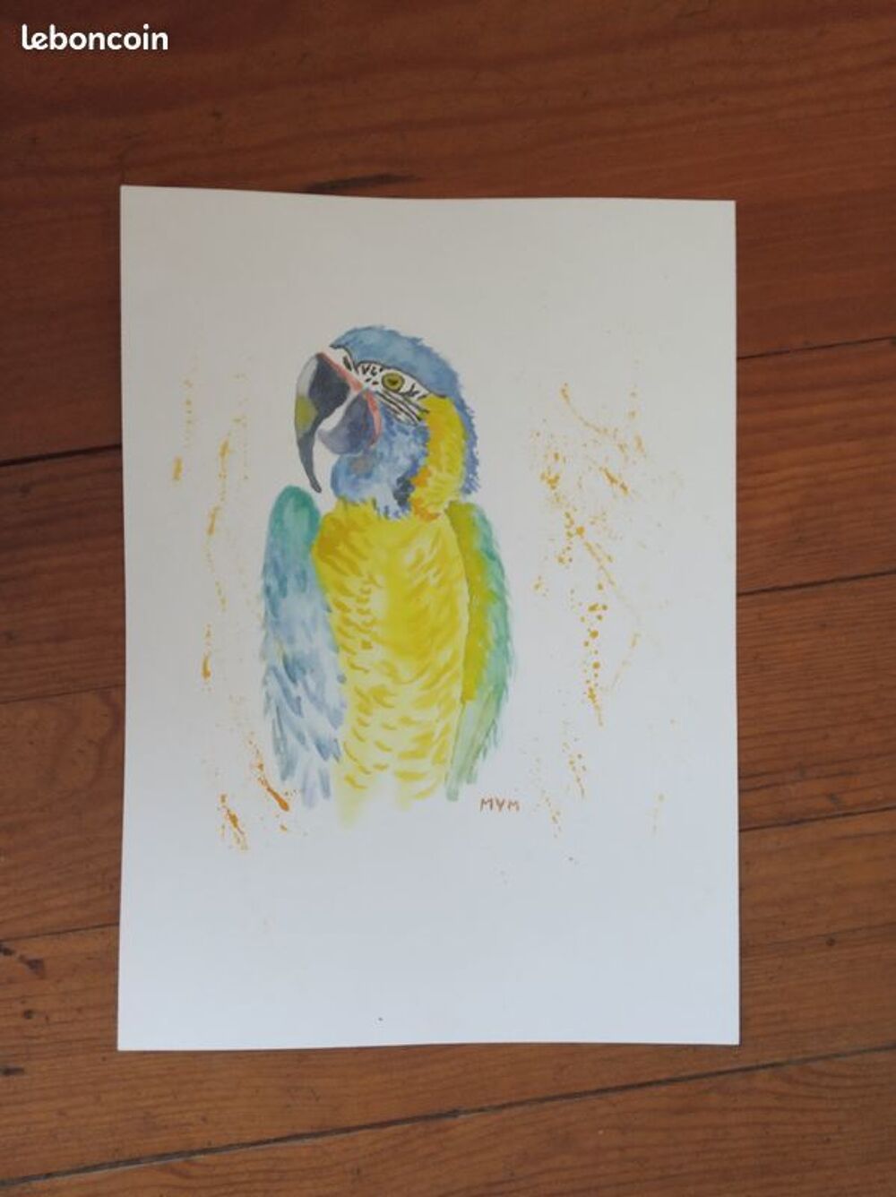 AQUARELLE PERROQUETS Décoration