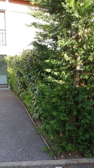 Location  Appartement 