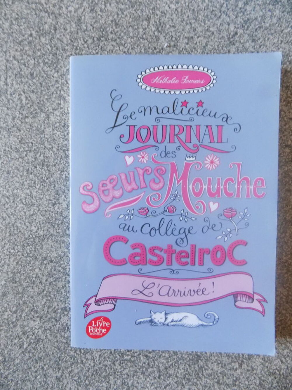 Le malicieux journal des soeurs Mouche au coll&egrave;ge de Livres et BD