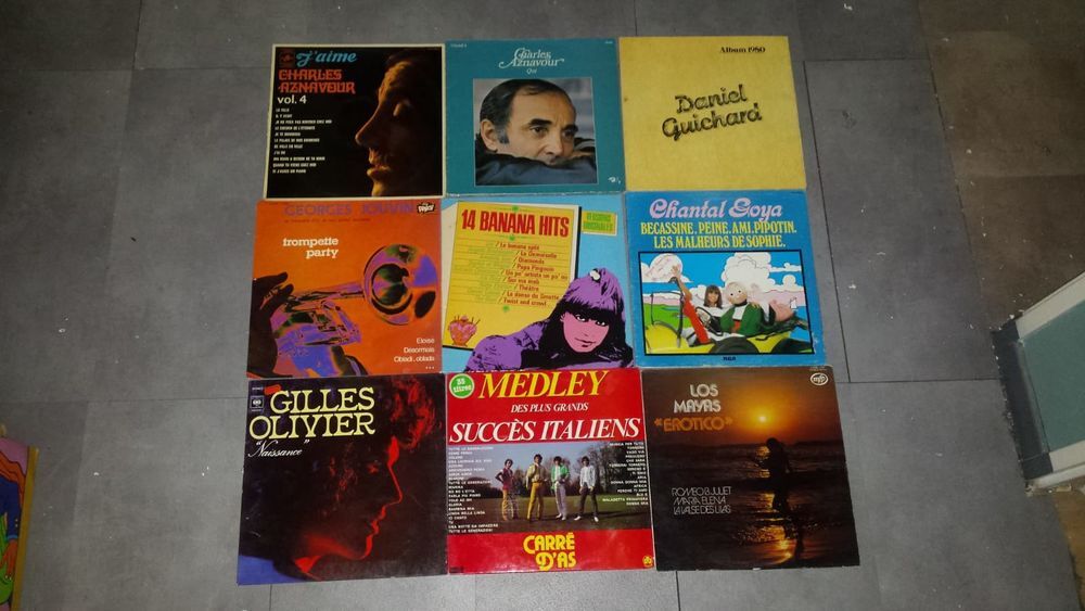 LOT DE 63 DISQUES VINYLES 33T CD et vinyles