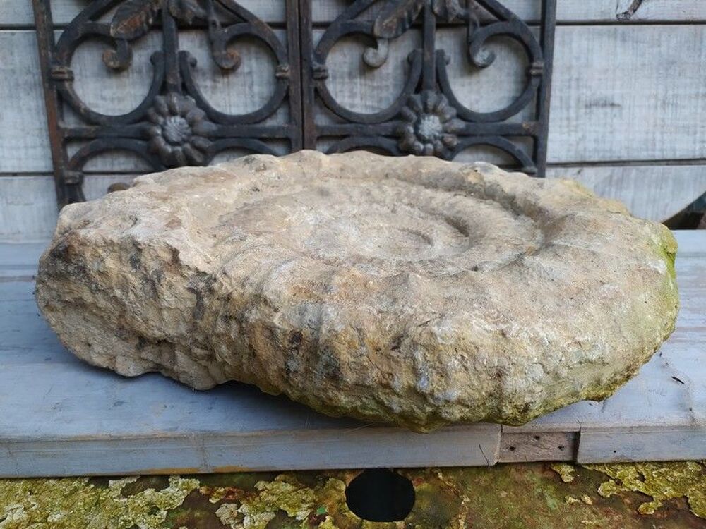 Grande Ammonite Fossile Coquillage Fossilis&eacute; 
