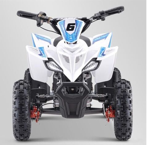 AUTRES Quad 2023 occasion Jard-sur-Mer 85520