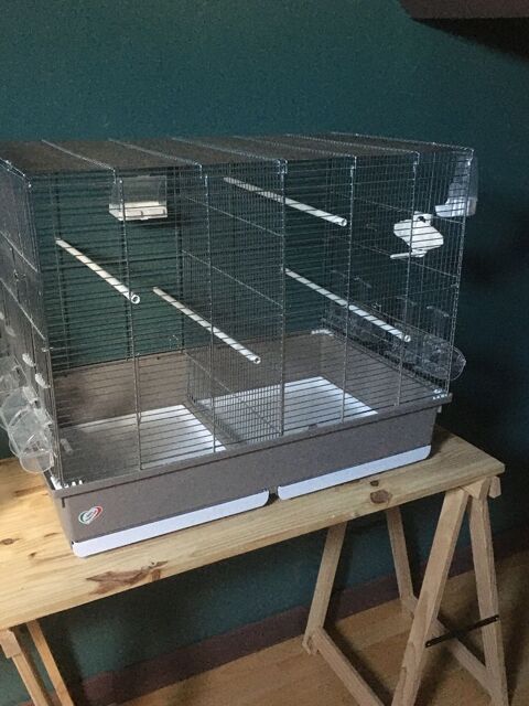 Cage elevage 50 60310 Amy