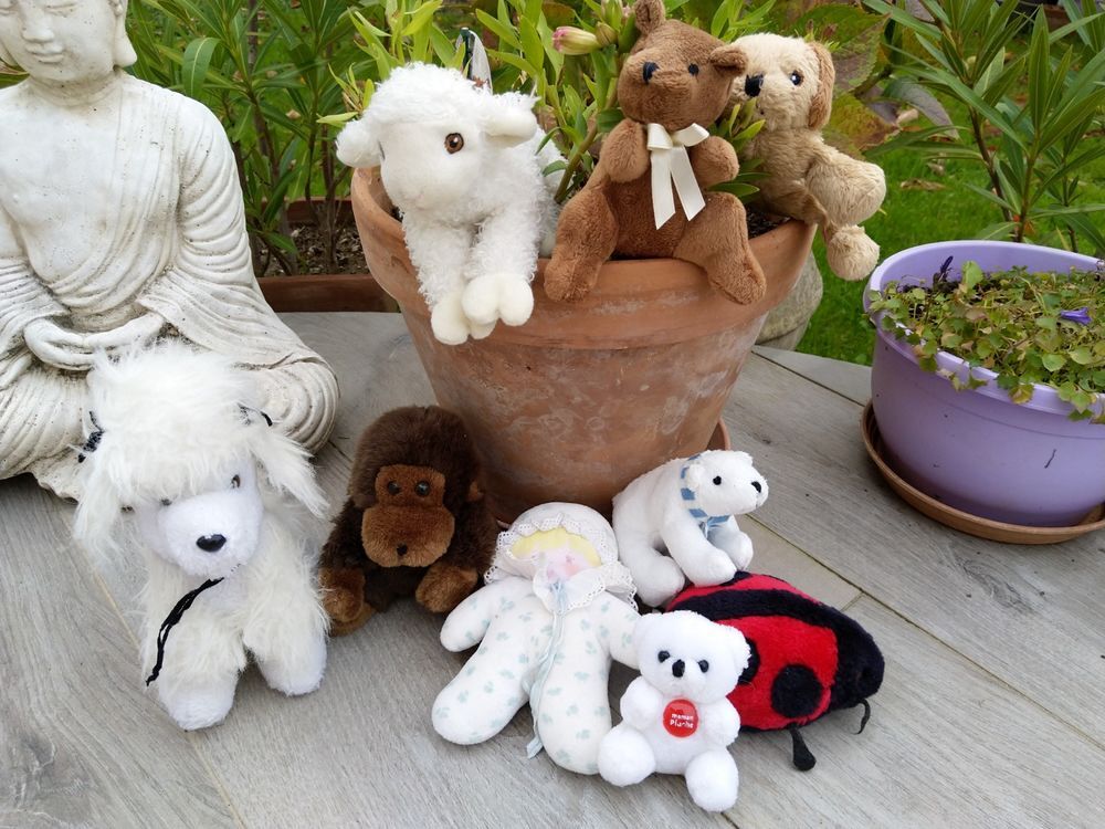 Peluches Jeux / jouets