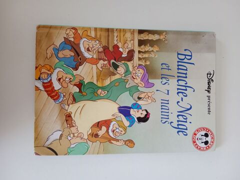 Blanche-Neige et les 7 nains 1 Merfy (51)
