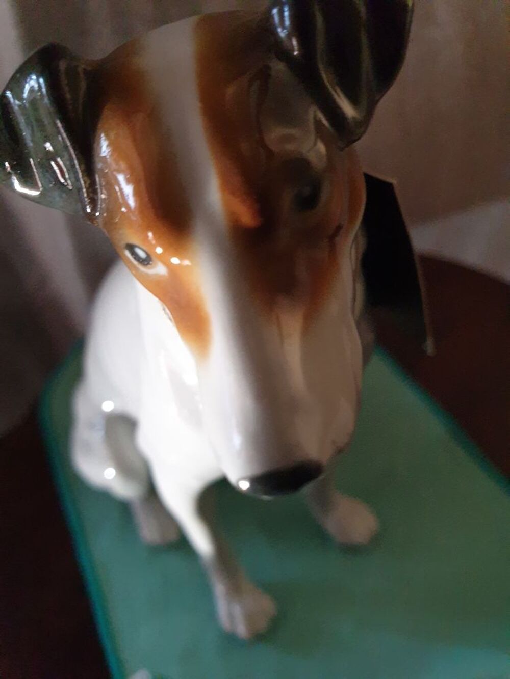 chien miniature de collection 