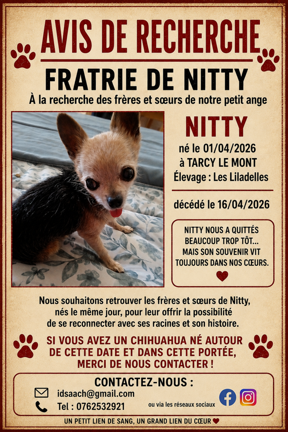   A la recherche d'une trace familiale. 