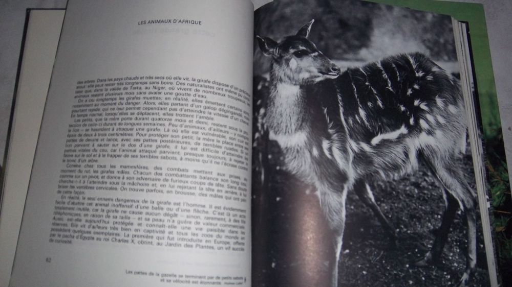 LES GRANDES ENIGMES DE LA VIE DES ANIMAUX 1 et 2 Livres et BD