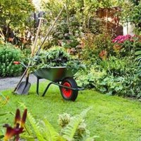   Services de jardinage, bricolage et nettoyage 