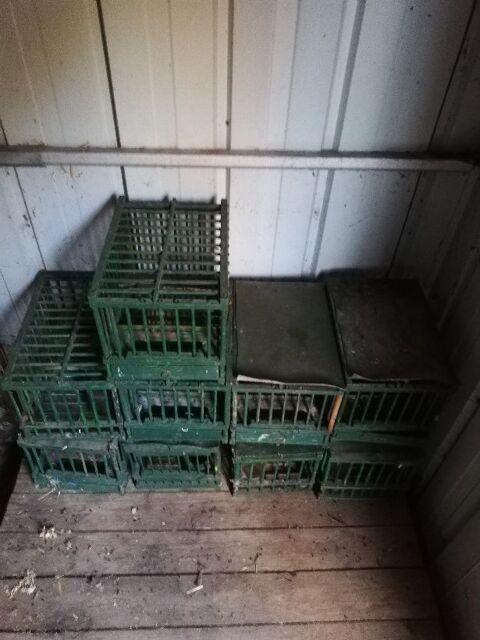  cages a grives 2 83170 Tourves