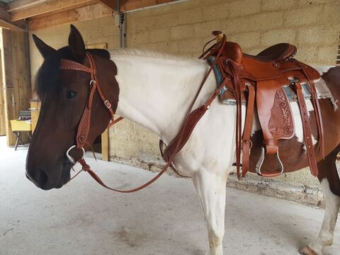 Selle western 450 Saint-Valery-en-Caux (76)