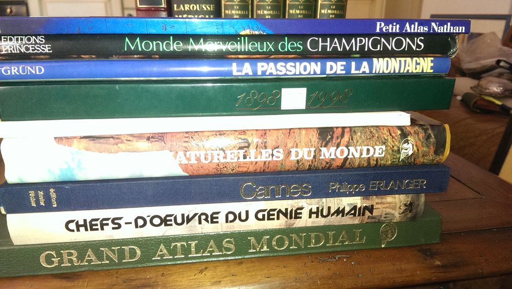 lot de livres divers Livres et BD