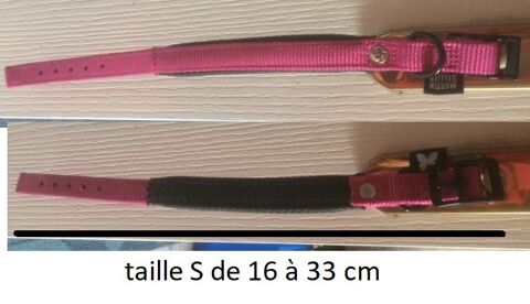 collier MARTIN SELLIER pour petit chien 33230 Les glisottes-et-chalaures