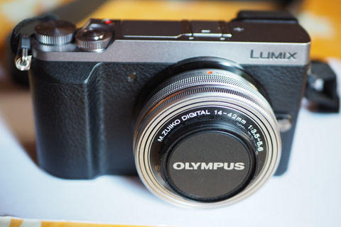  APN  Panasonic LUMIX GX 80 550 Saint-Caprais-de-Blaye (33)