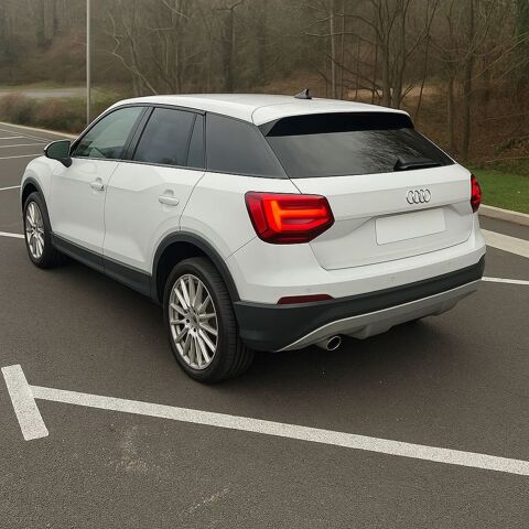 Audi Q2 1.6 TDI 116 ch BVM6 Sport 2020 occasion St Victor Sur Loire 42230