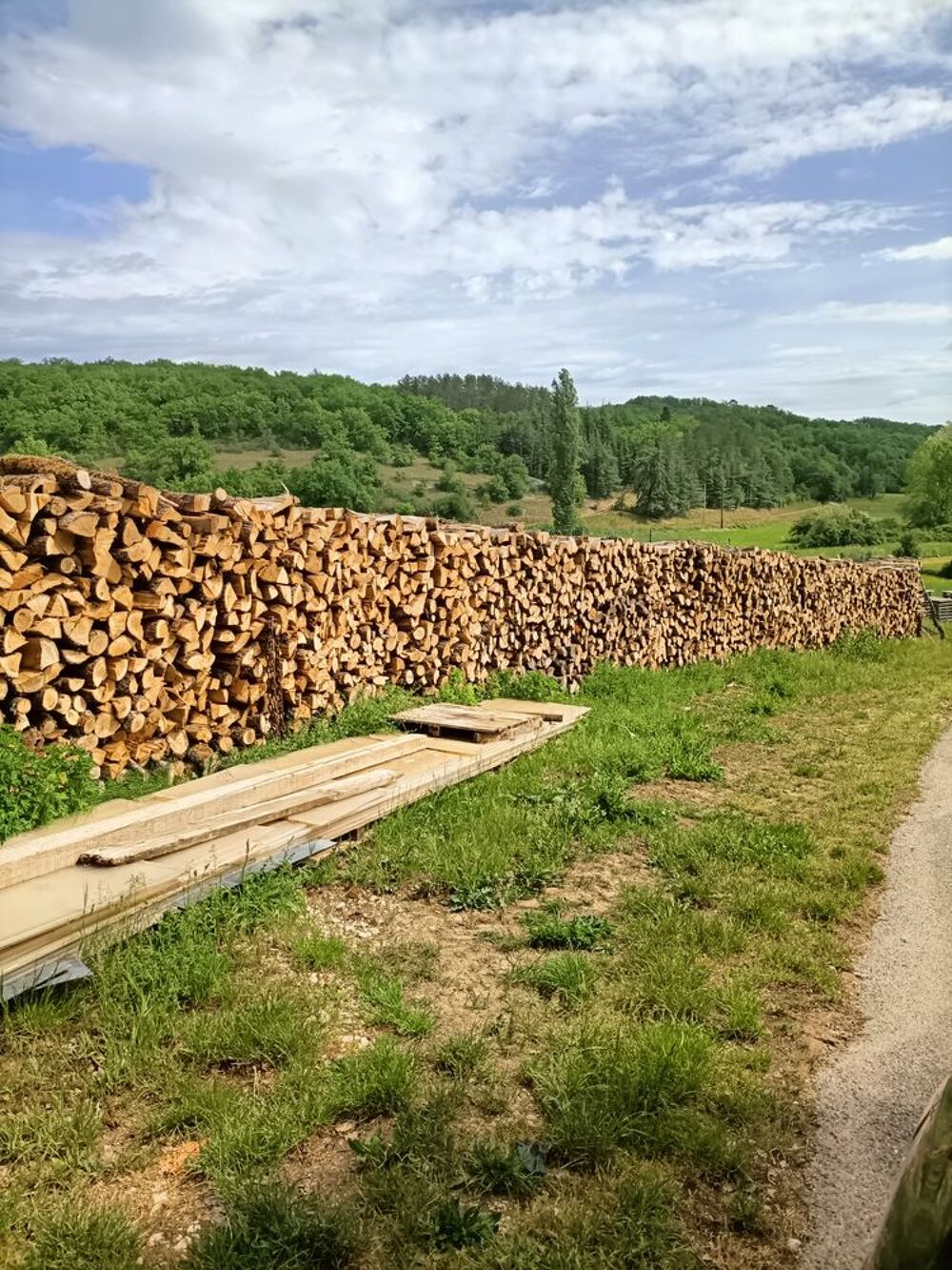 Ch&ecirc;ne bois de chauffage . Jardin