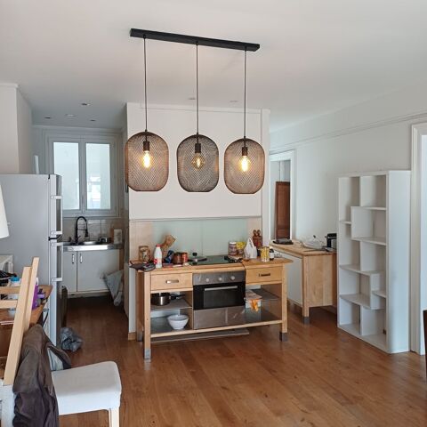 Suspension lumineuse design 48 Bois-le-Roi (77)