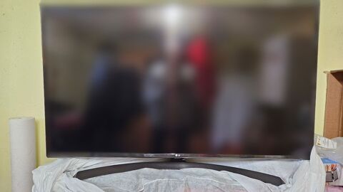 Tv LG 49 UJ 50 Harskirchen (67)