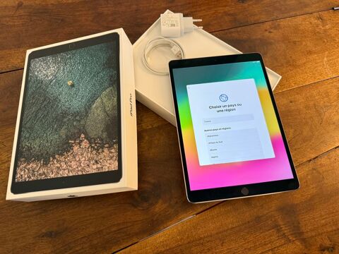 IPad Pro 10.5 (2017) 1e gnration 256 Go - argent - 250 Cannes (06)