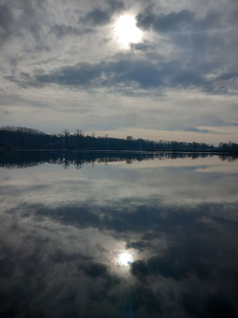 Carpe pour etang Sports