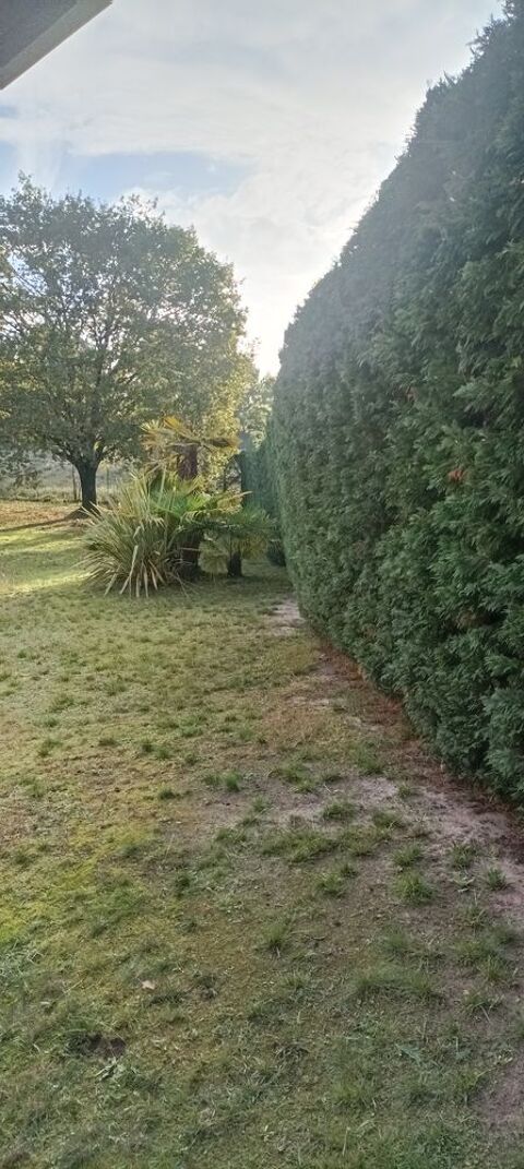 Cr&eacute;ation & entretien d'espaces vert 0 33120 Arcachon