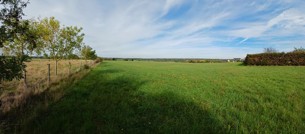 Vente Terrain GRAND TERRAIN DE LOISIR 8000 m² DE NATURE PROCHE ANCENIS Mésanger
