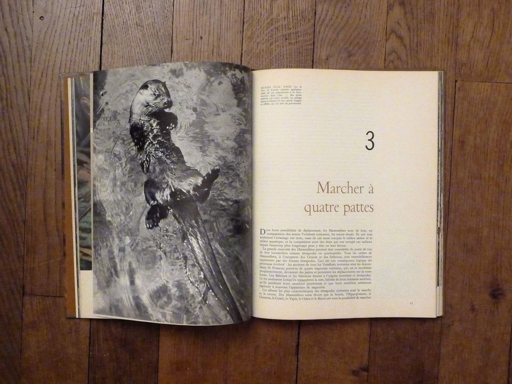 Les Mammif&egrave;res- Le Monde Vivant- Life Livres et BD
