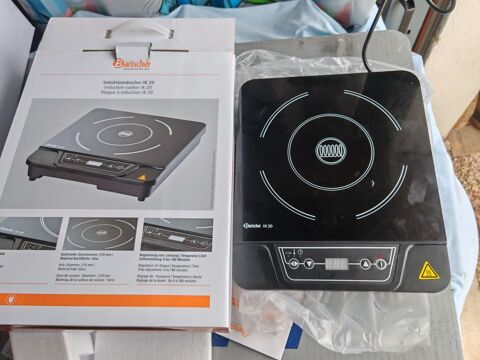 Plaque a induction bartsher IK20 50 Morey-Saint-Denis (21)