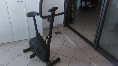 Palmes longues 20 La Runion (97)