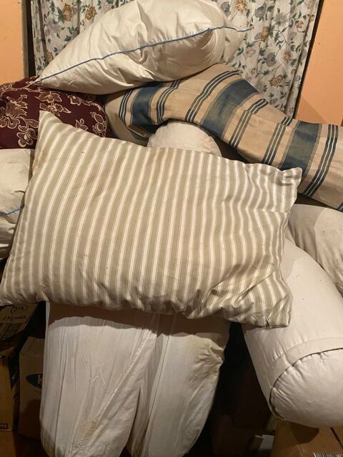 Plume d'oie � r�cup�rer dans anciens oreillers traversins  0 Saulieu (21)