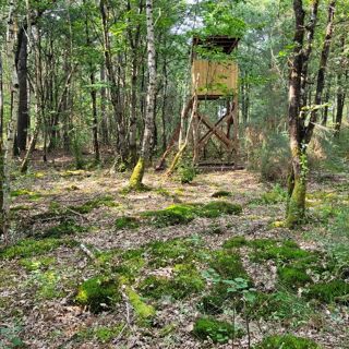  Terrain � vendre 70000 m� Langon