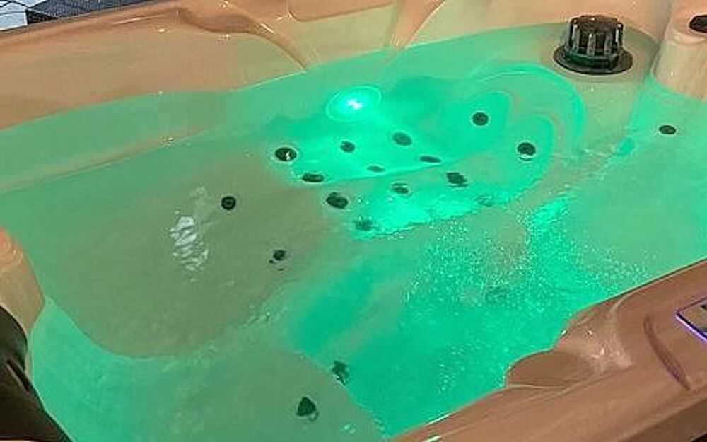 UN JACUZZI 3 PLACES DE LA MARQUE AMERICAINE PREMIUM Jardin
