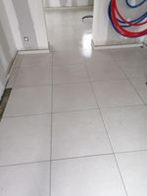   Carreleur professionnel  