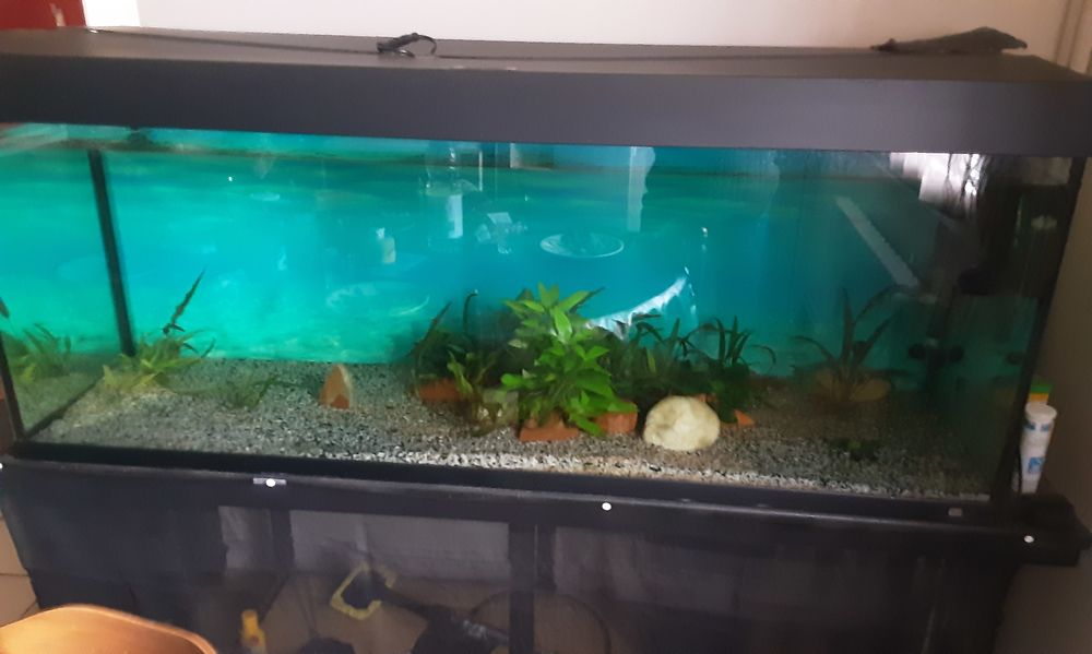 Aquarium Meubles