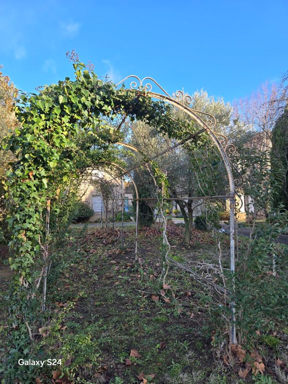 tonnelle en fer forg&eacute; Jardin