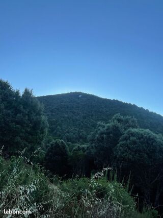  Terrain à vendre 50000 m² Santa-maria-siché