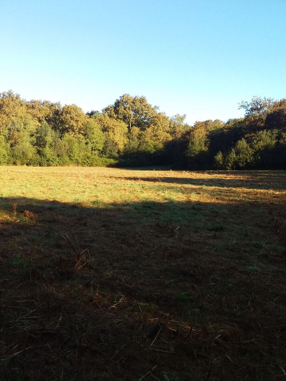 Vente Terrain TERRES AGRICOLES  14 21O m2   à 64270  PUYOO Bayonne