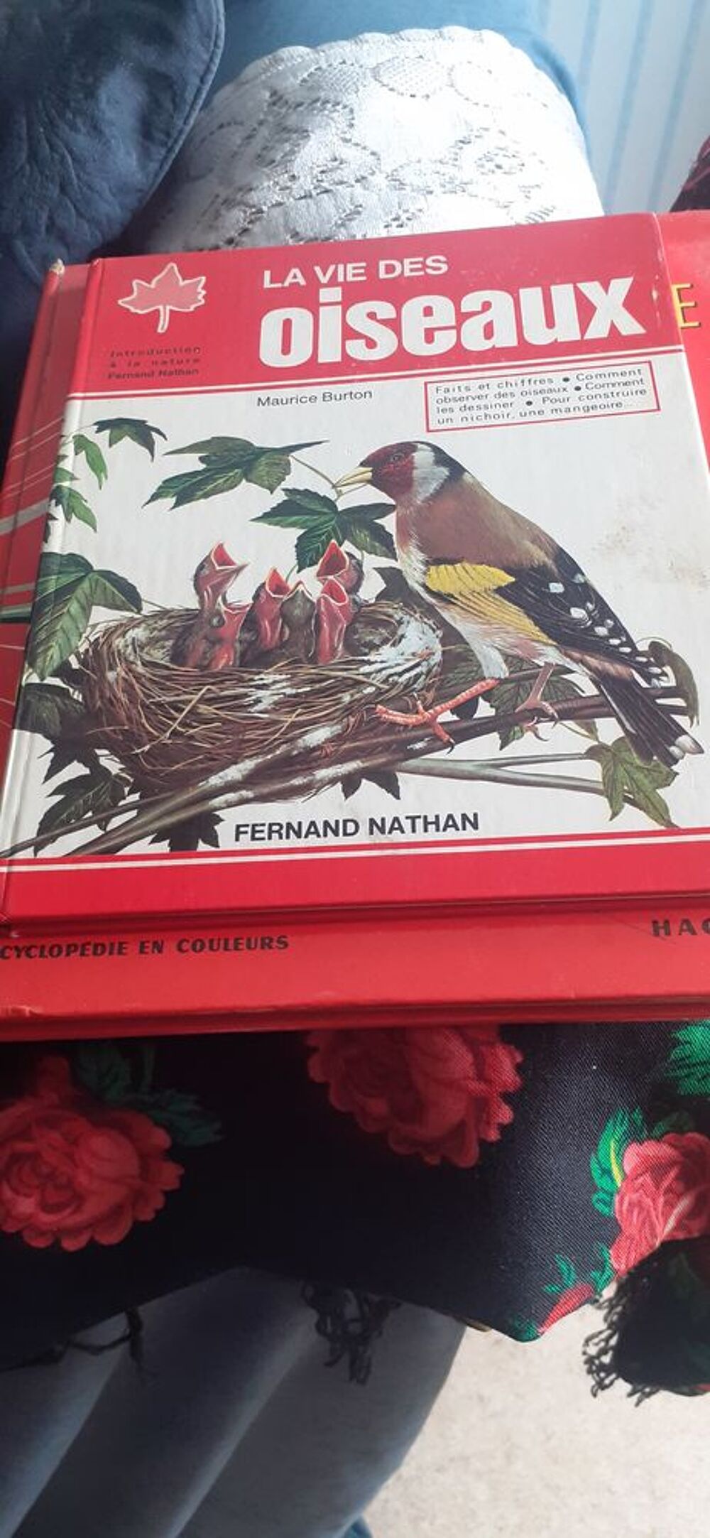 Le livre des oiseaux Livres et BD