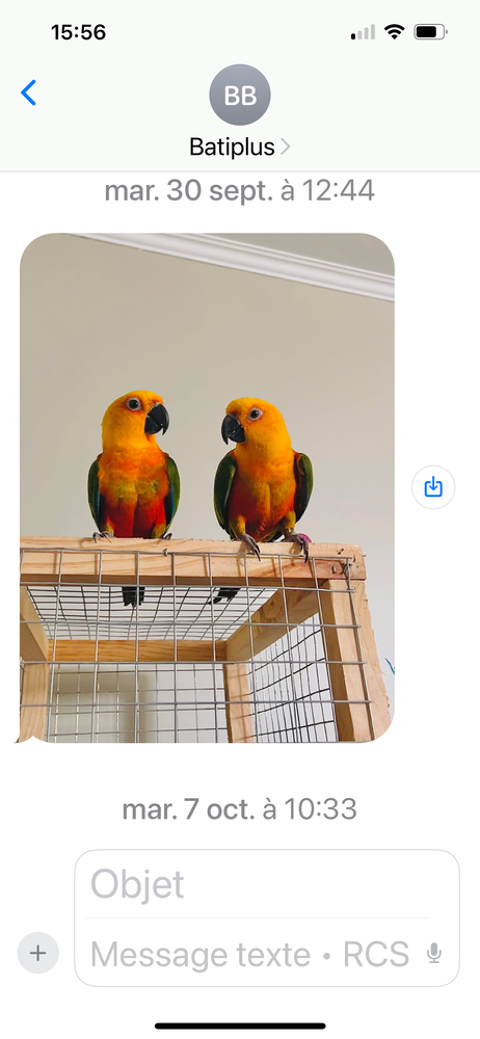 Perroquet ?  360 47200 Marmande