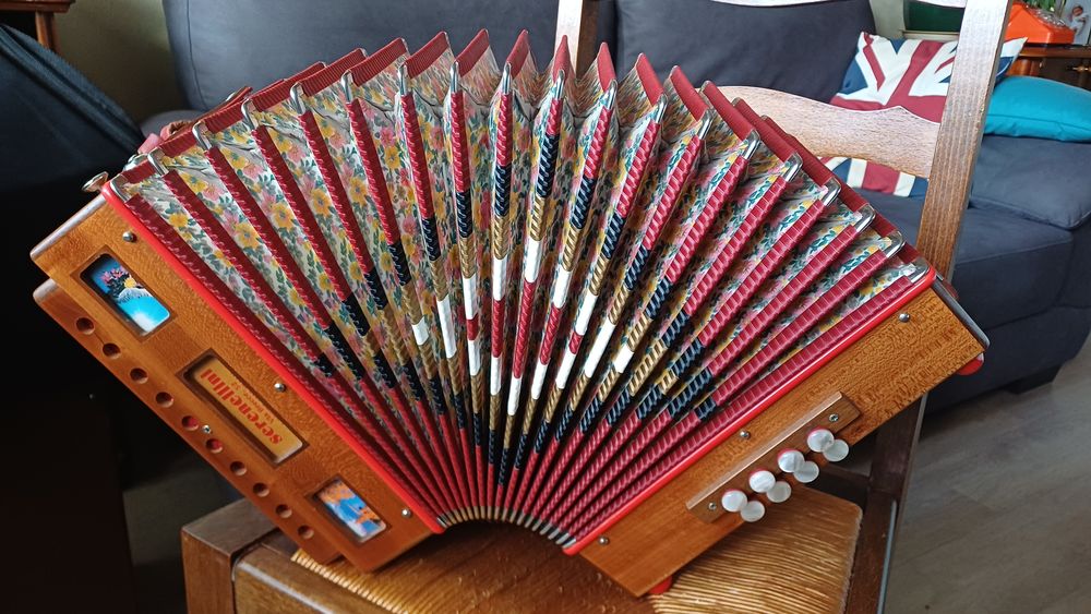 Accord&eacute;on diatonique Instruments de musique
