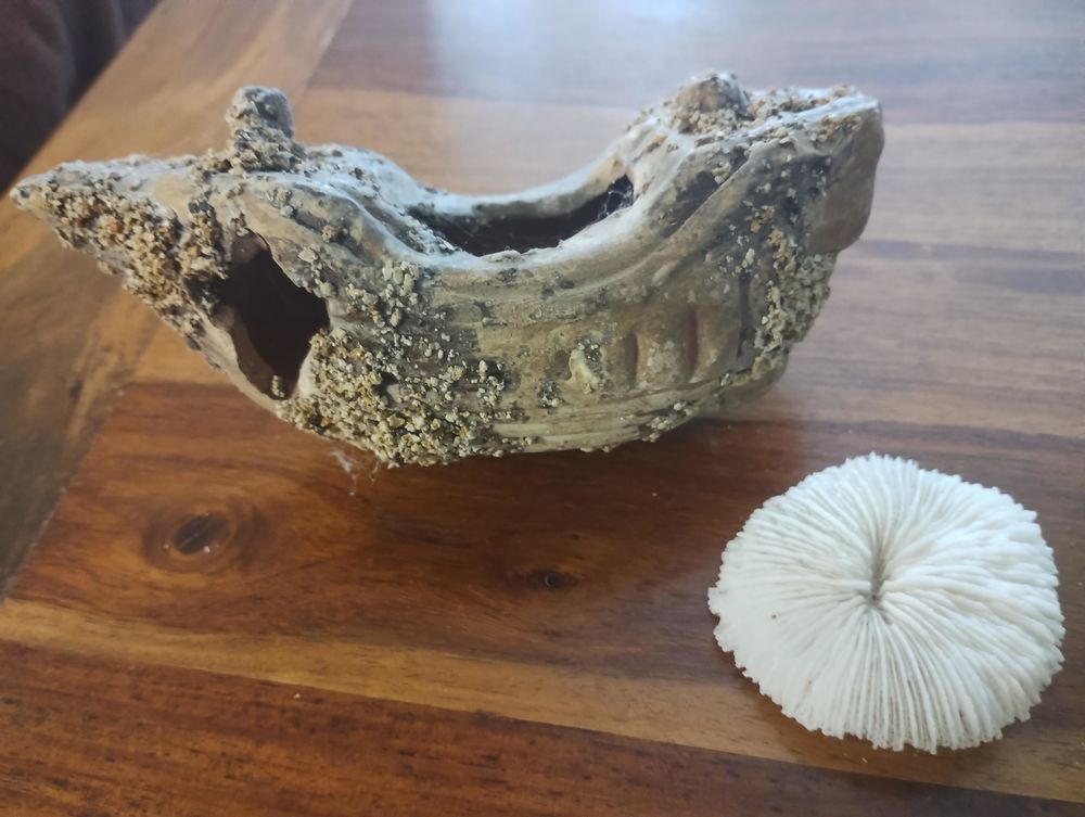   Décors avec épave de bateau pour aquarium 
