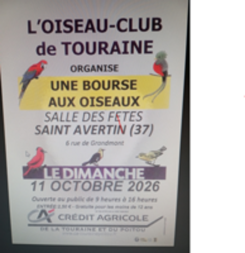   EXPOSITION BOURSE AUX OISEAUX 