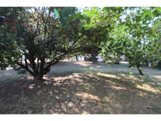  Terrain � vendre 815 m�