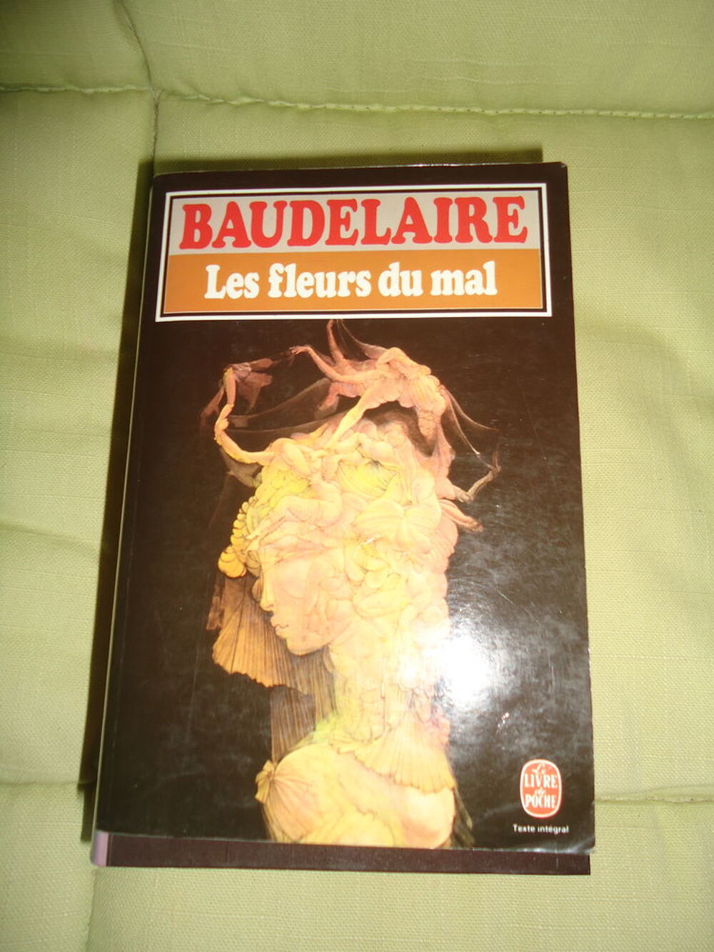 LIVRES LOT DE 3 Livres et BD