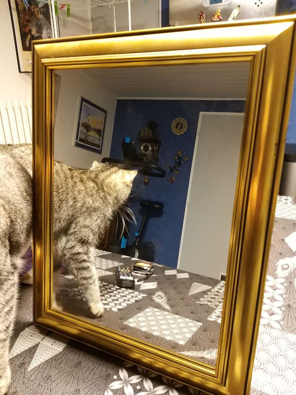 Miroir 38/48cm. Décoration