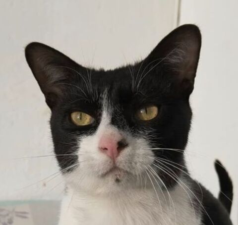 FILON 230 27620 Gasny