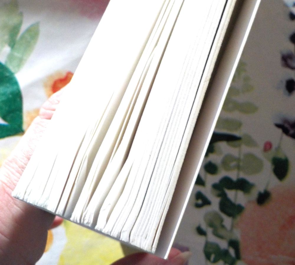 MALO DE LANGE, FILS DE VOLEUR de Marie-Aude MURAIL Maximax Livres et BD