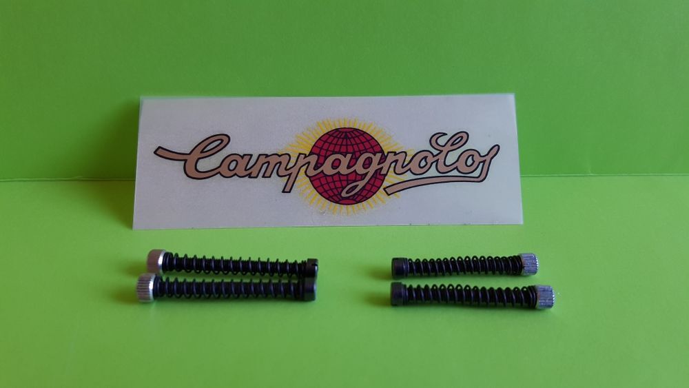 VIS CAMPAGNOLO POUR PATTES DE CADRE Vélos