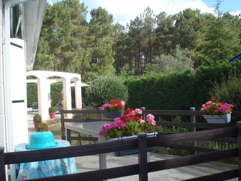   Maison de vacances Marcheprime Bassin d'Arcachon Aquitaine, Marcheprime (33380)